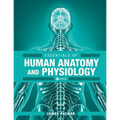 Essentials of Human Anatomy and Physiology - Paperback