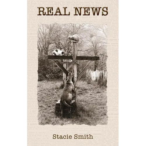 Real News - Paperback