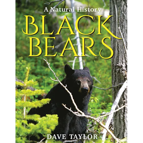 Black Bears: A Natural History - Paperback