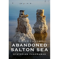 Abandoned Salton Sea: Dystopian Panoramas - Paperback