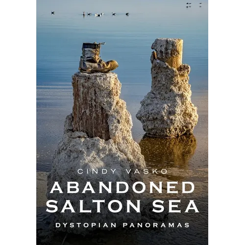 Abandoned Salton Sea: Dystopian Panoramas - Paperback