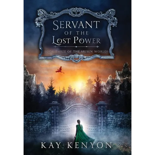 Servant of the Lost Power - Hardcover
