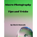 Macro Photography Tips and Tricks - Paperback