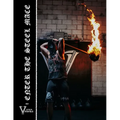 Enter The Steel Mace: Guide For Steel Mace Strength Training - Paperback