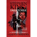 The Lady of Shadows - Hardcover