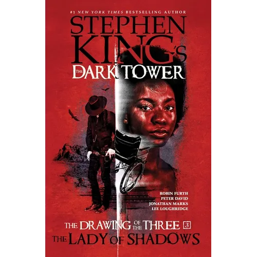 The Lady of Shadows - Hardcover