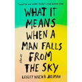 What It Means When a Man Falls from the Sky: Stories - Paperback
