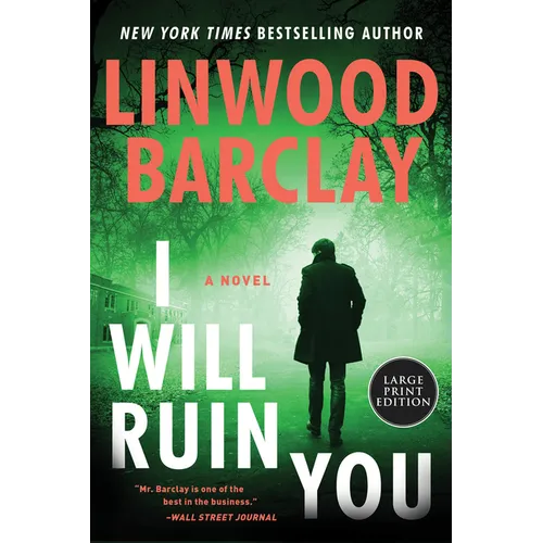 I Will Ruin You - Paperback