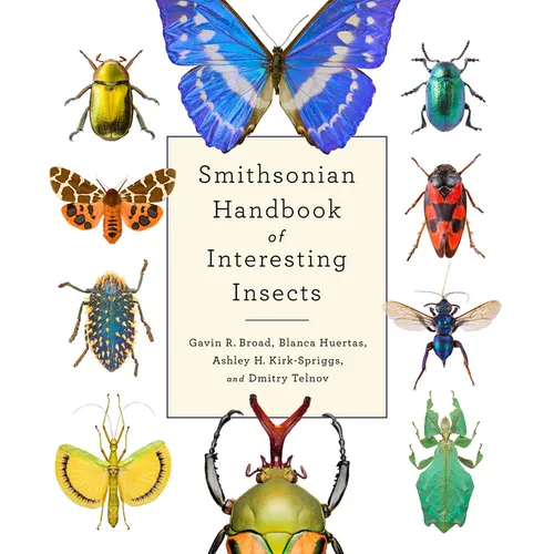 Smithsonian Handbook of Interesting Insects - Hardcover