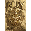 Ally - Paperback