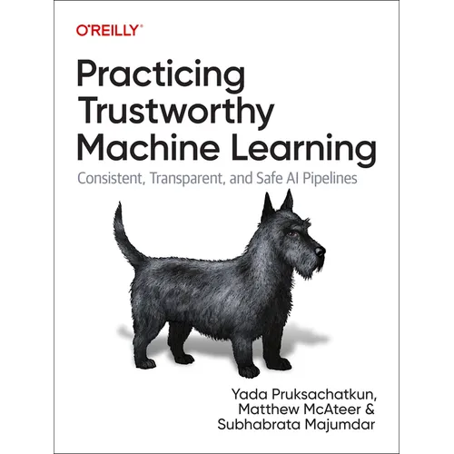 Practicing Trustworthy Machine Learning: Consistent, Transparent, and Fair AI Pipelines - Paperback