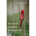 Between Gone and Everlasting - Paperback