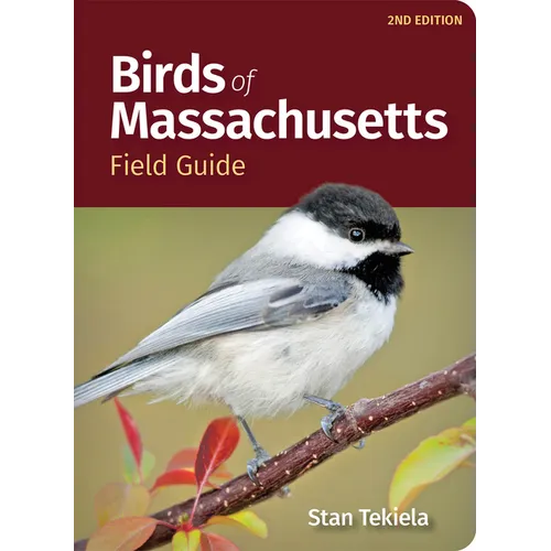 Birds of Massachusetts Field Guide - Paperback