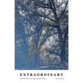 Extraordinary: How brokenness can make you extraordinary - Paperback