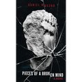 Pieces of a Broken Mind - Hardcover