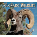 Colorado Wildlife Impressions