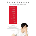 Someday This Pain Will Be Useful to You - Paperback
