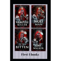 Emily Shadowhunter - All 4 books: A Vampire, werewolf, shapeshifter novel. - Paperback