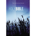 Value Outreach Bible-NIV - Paperback
