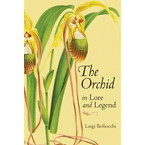 The Orchid in Lore and Legend - Paperback
