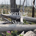 Searching for Shade - Paperback
