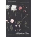 Talking to the Dead - Paperback