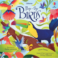 Pop-Up Birds - Board Book