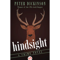 Hindsight: A Crime Novel - Paperback