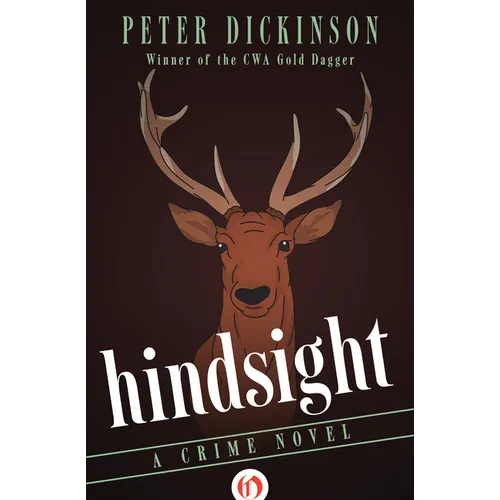 Hindsight: A Crime Novel - Paperback