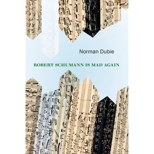 Robert Schumann Is Mad Again - Paperback