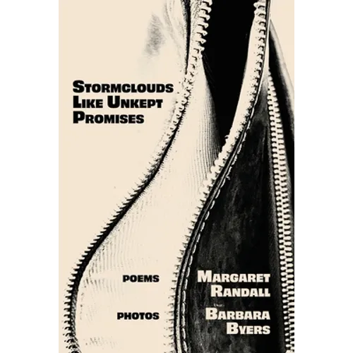 Stormclouds Like Unkept Promises - Paperback