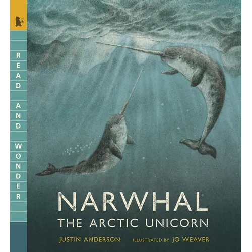 Narwhal: The Arctic Unicorn: Read and Wonder - Paperback