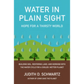 Water in Plain Sight: Hope for a Thirsty World - Paperback