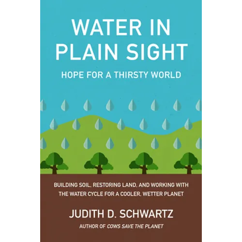 Water in Plain Sight: Hope for a Thirsty World - Paperback