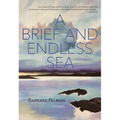 A Brief and Endless Sea - Paperback