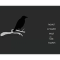 Never Craven Was the Raven - Hardcover