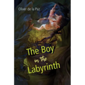 The Boy in the Labyrinth: Poems - Paperback