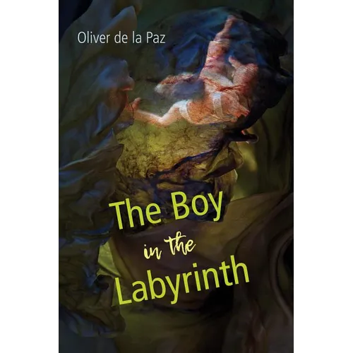The Boy in the Labyrinth: Poems - Paperback