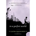 In a Perfect World - Paperback