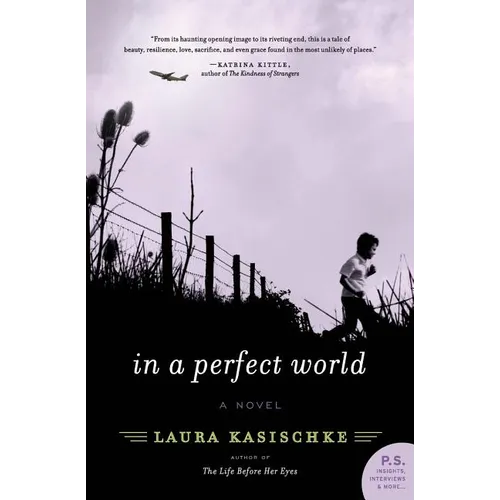 In a Perfect World - Paperback