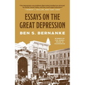 Essays on the Great Depression - Paperback