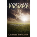 According to Promise - Paperback