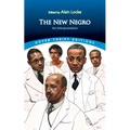 The New Negro: An Interpretation - Paperback