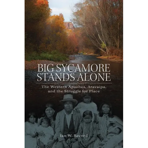 Big Sycamore Stands Alone: The Western Apaches, Aravaipa, and the Struggle for Place Volume 1