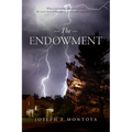 The Endowment - Paperback