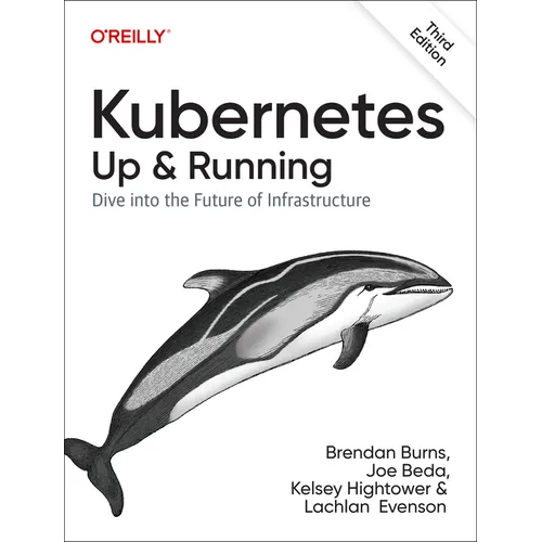 Kubernetes: Up and Running: Dive Into the Future of Infrastructure - Paperback
