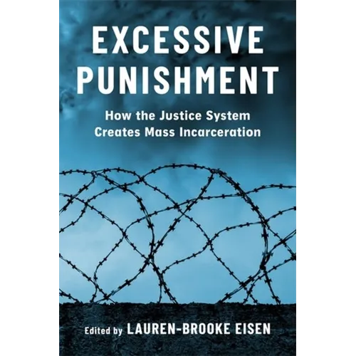 Excessive Punishment: How the Justice System Creates Mass Incarceration - Paperback