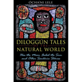 Diloggún Tales of the Natural World: How the Moon Fooled the Sun and Other Santería Stories - Paperback