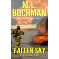 Fallen Sky: an action-adventure technothriller story - Paperback