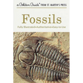 Fossils: A Fully Illustrated, Authoritative and Easy-To-Use Guide - Paperback